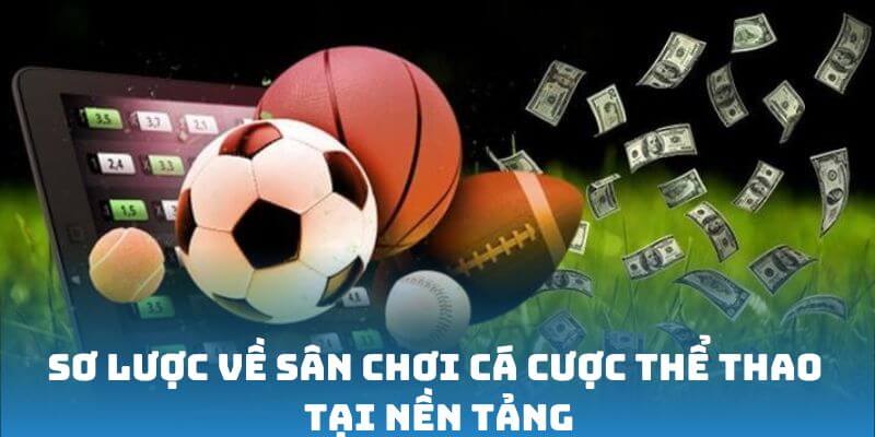 Tổng quan về sân chơi cá cược thể thao tại nền tảng