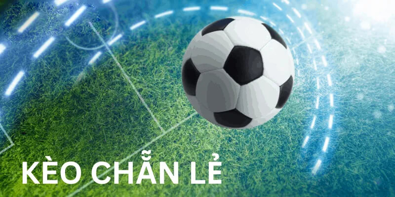 Tìm hiểu chi tiết về hình thức cá cược E/O trong bộ môn bóng đá