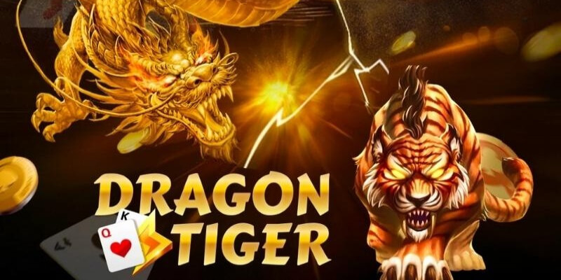 Trò chơi Rồng Hổ khiến nhiều hội viên của 88AA thích thú