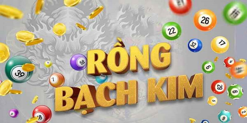 Vậy, rồng bạch kim 666 là gì?